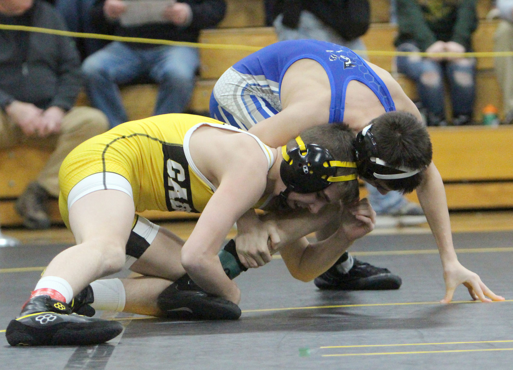 Division 3 Wrestling Regional at Cadott 2-15-20